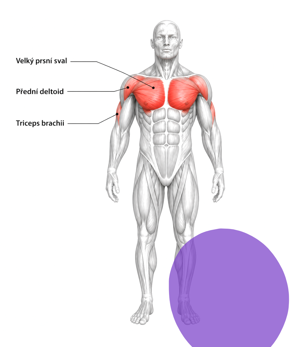 Peck Deck — detail